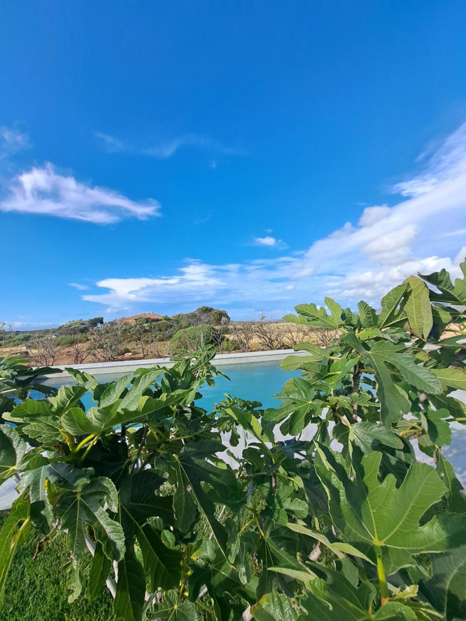 Agriturismo Lu Nodu Greuli المظهر الخارجي الصورة