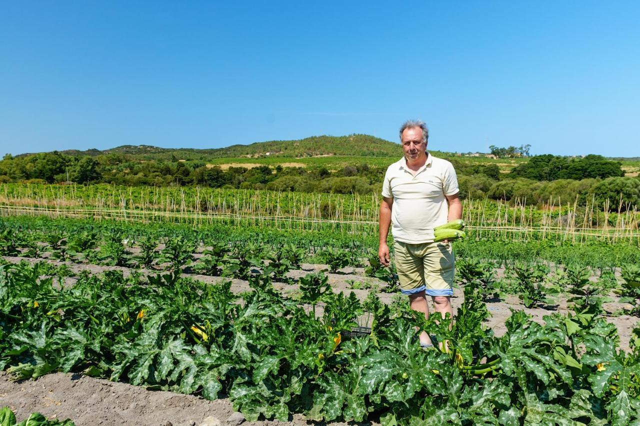 Agriturismo Lu Nodu Greuli المظهر الخارجي الصورة